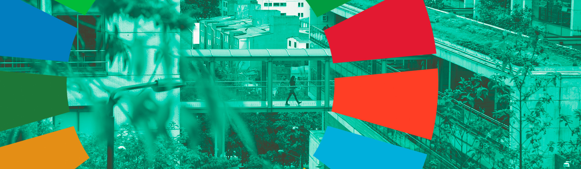 Puentes de Conocimiento: 4 universidades impulsan la investigación colaborativa