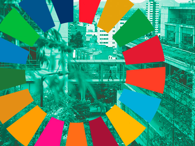 Puentes de Conocimiento: 4 universidades impulsan la investigación colaborativa